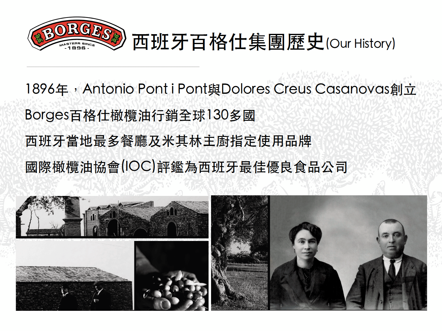 西班牙百格仕集團歷史(Our History)