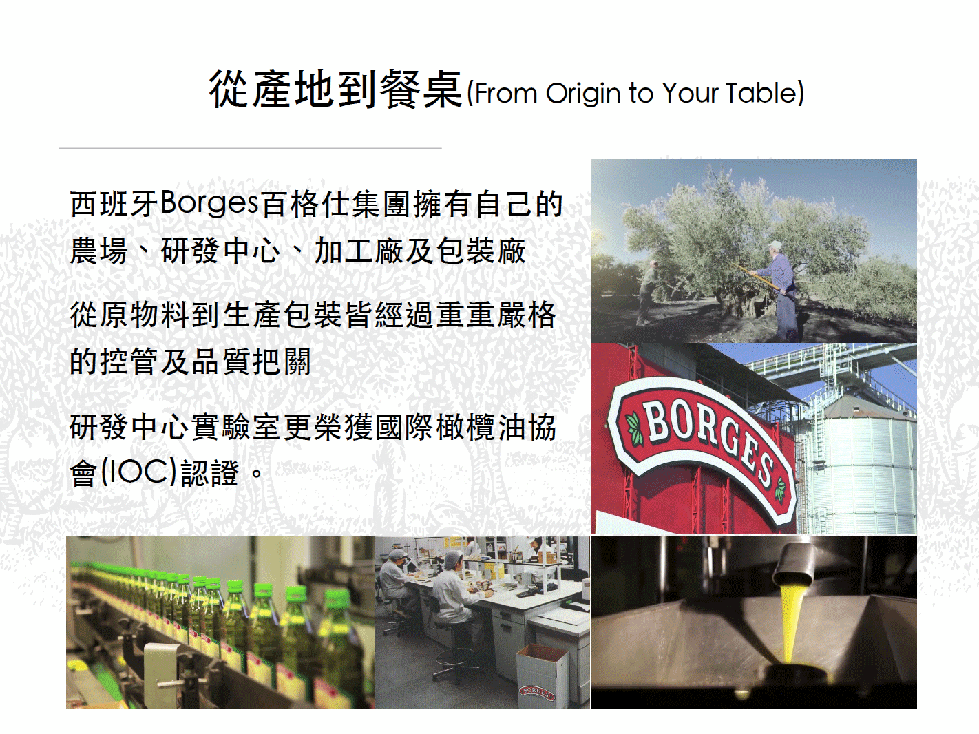 從產地到餐桌(From Origin to Your Table)