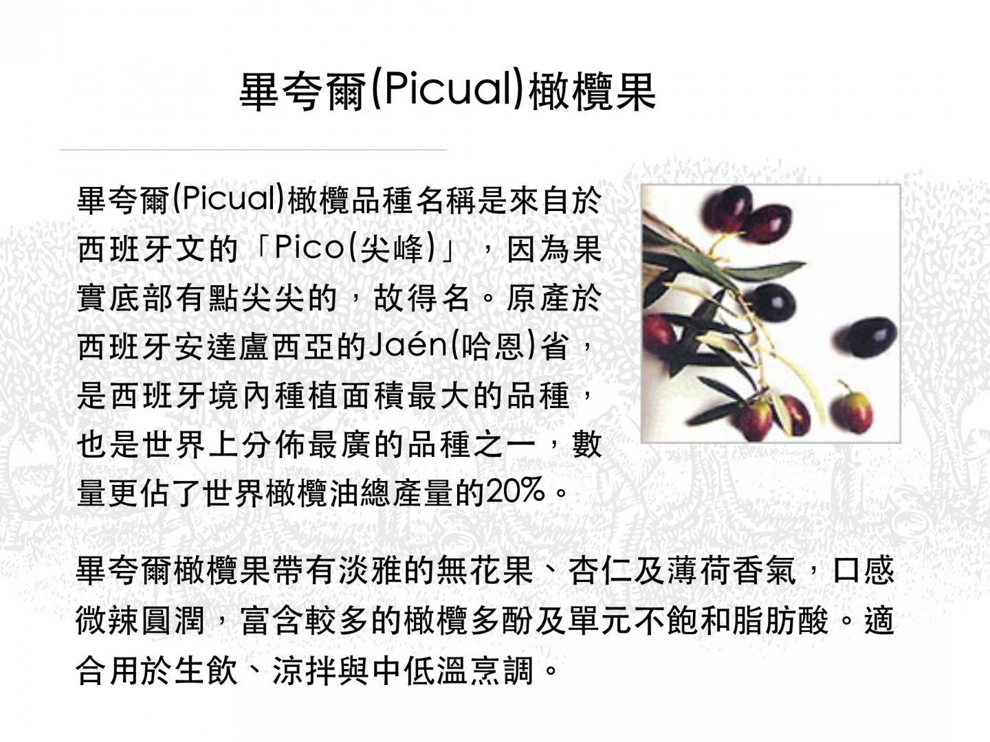 畢夸爾(Picual)橄欖果