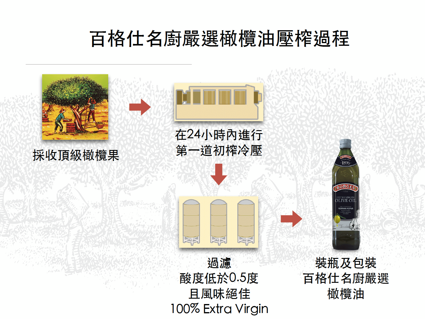 百格仕名廚嚴選橄欖油壓榨過程