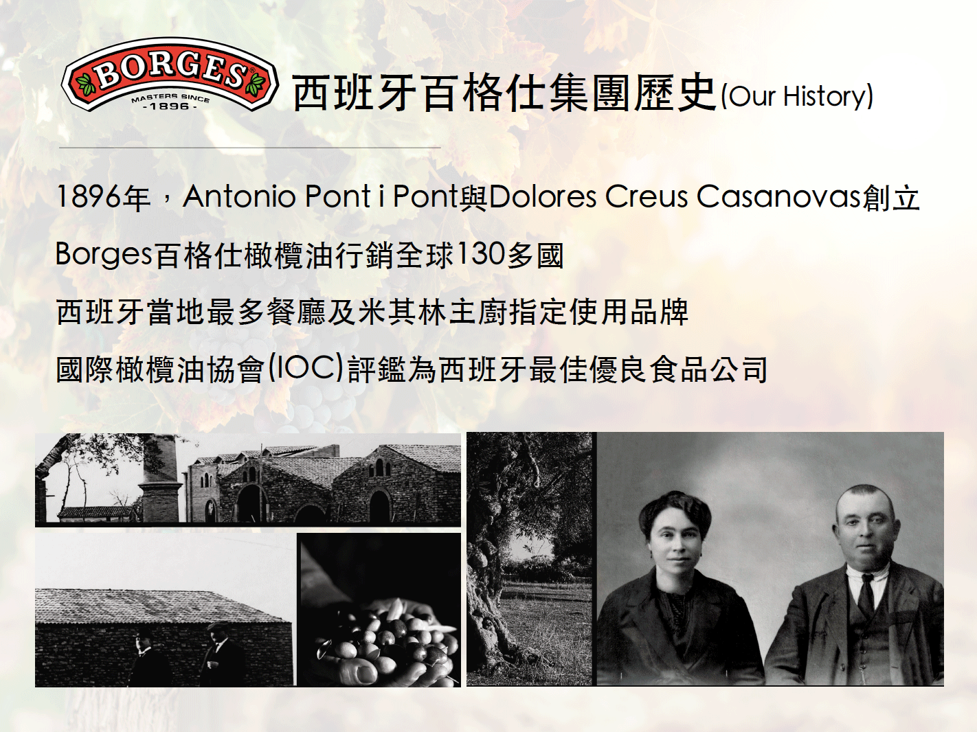 西班牙百格仕集團歷史(Our History)