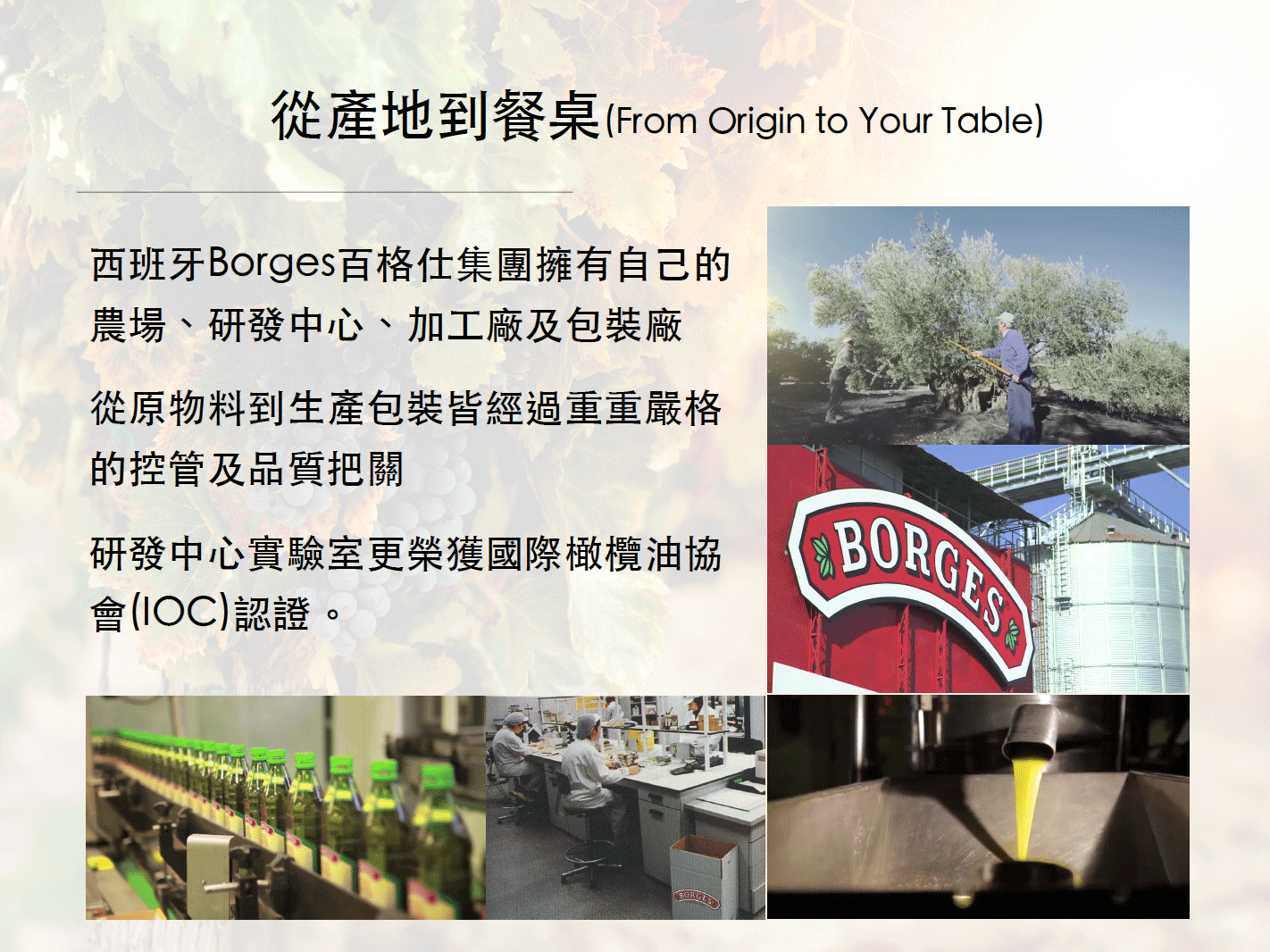 從產地到餐桌(From Origin to Your Table)