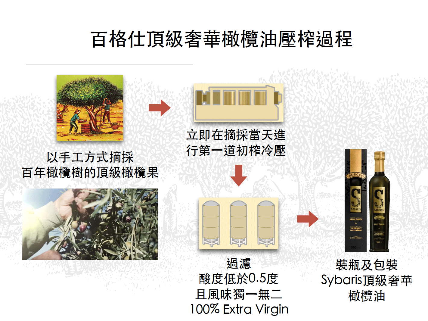 百格仕Sybaris頂級奢華橄欖油壓榨過程