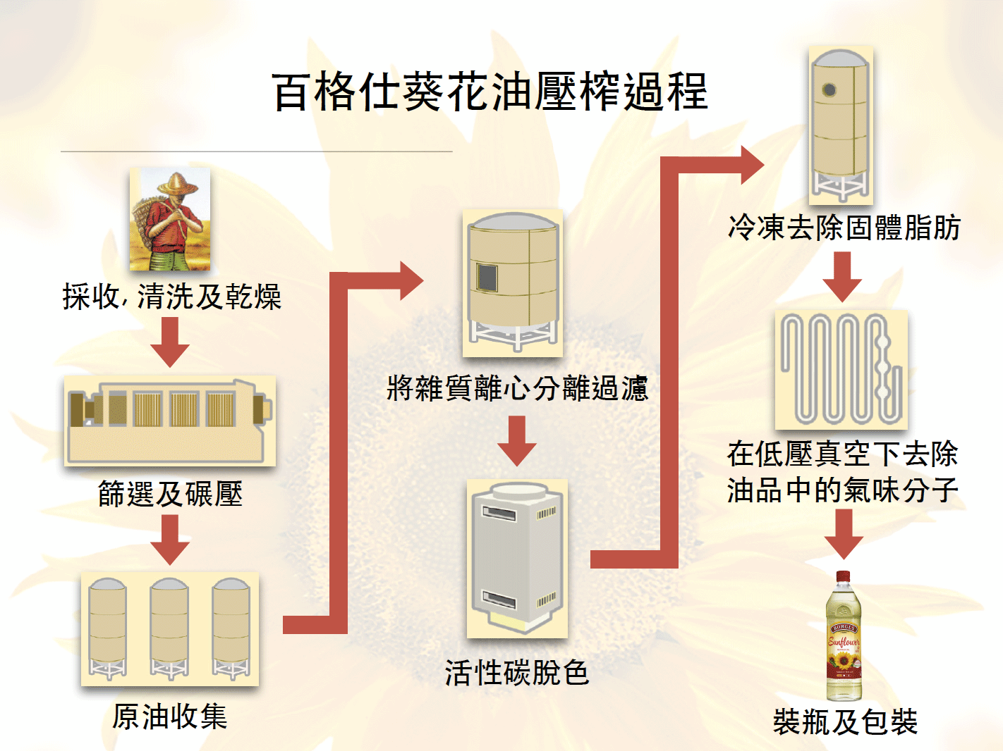 百格仕葵花油壓榨過程