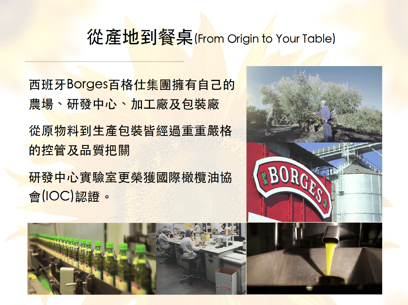 從產地到餐桌(From Origin to Your Table)